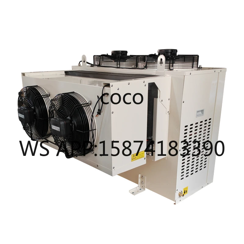 Cold Storage Room Monoblock Refrigeration Condensing Unit Wall Mounted Small Refrigerator Unit