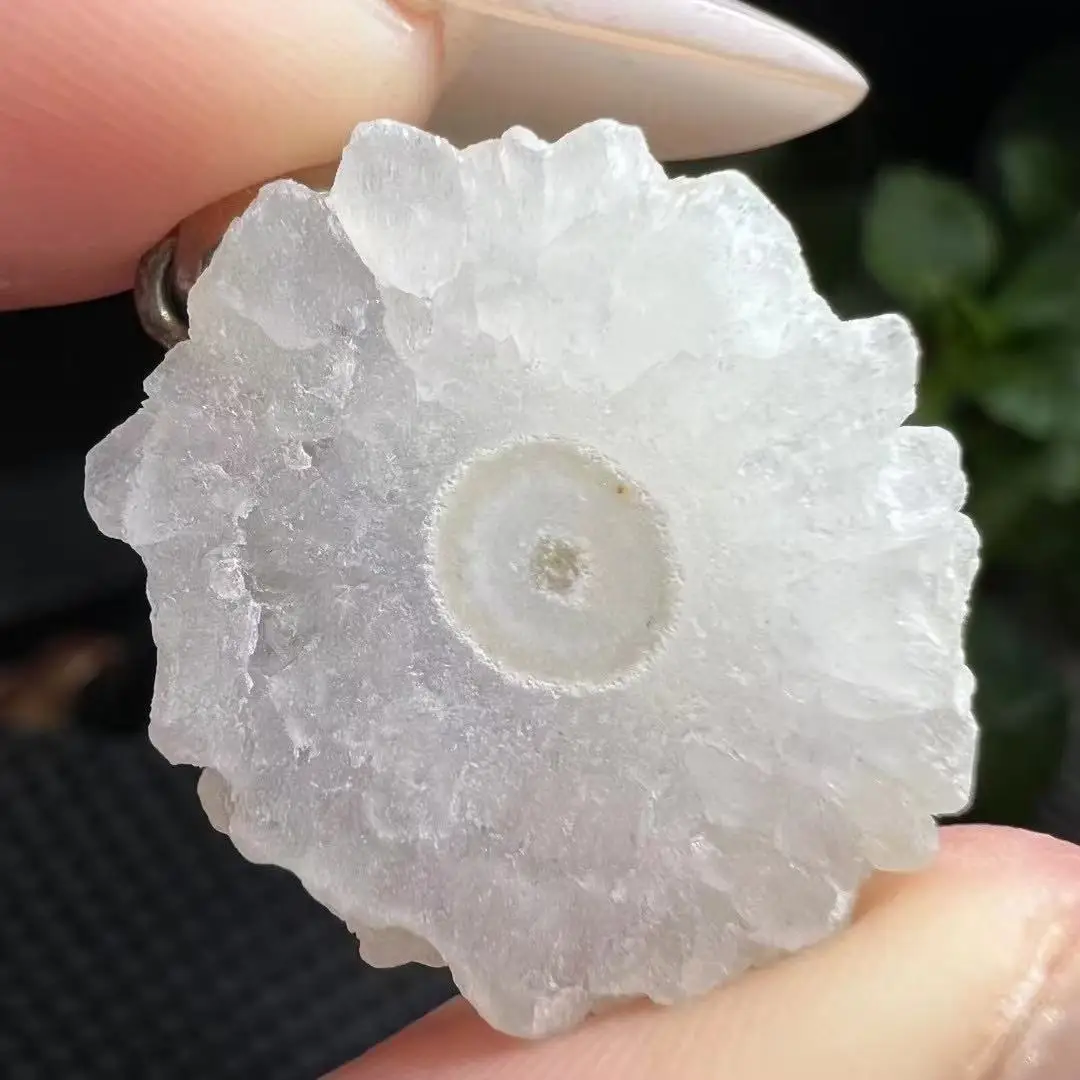 �y�Z�[�����zUnit One Piece 925 Silver Inlay Natural Agate Crystal Flower Slice Plate Pendant For Gift