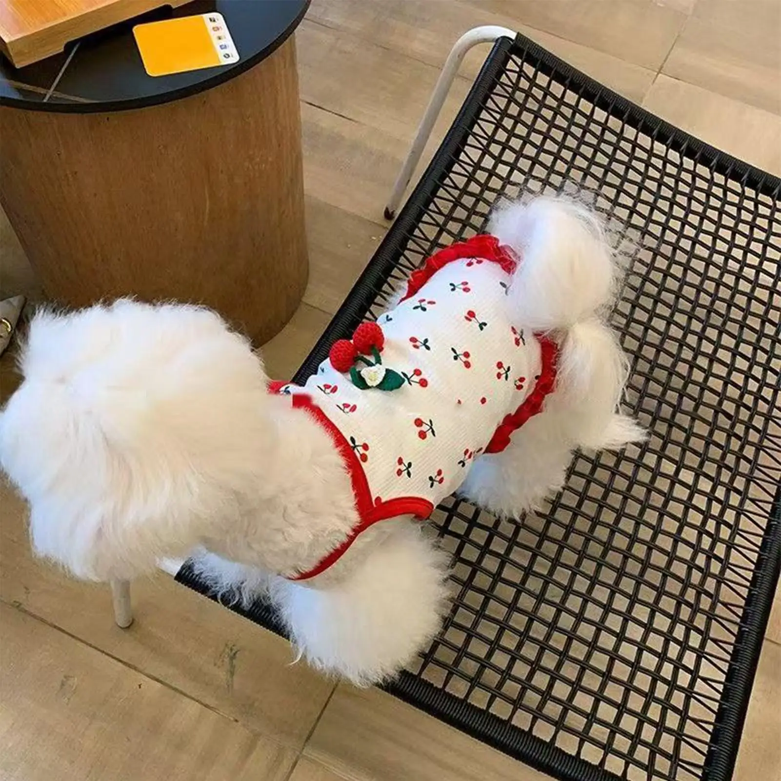 Pet Vest Cat Clothi…