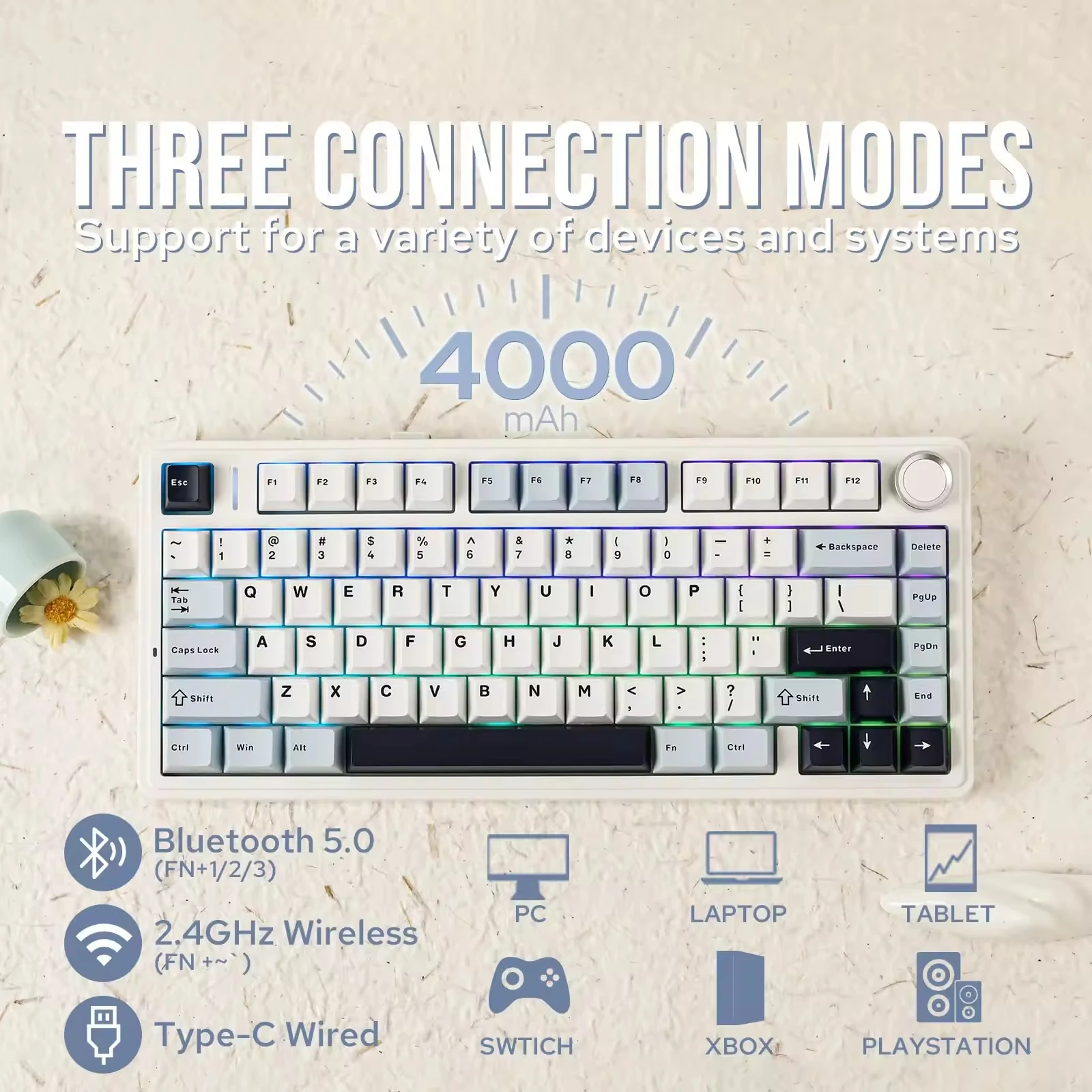 Shopping Sites International W - đánh giá và giá Gaming Accessories Shop