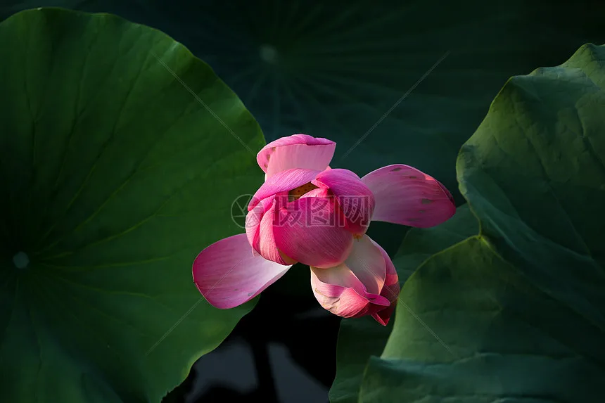 

Металлический передний бампер MJX Hyper Go H12Y H12Y+ для радиоуправляемых краулеров 1/12, запчасти и аксессуары для тюнинга