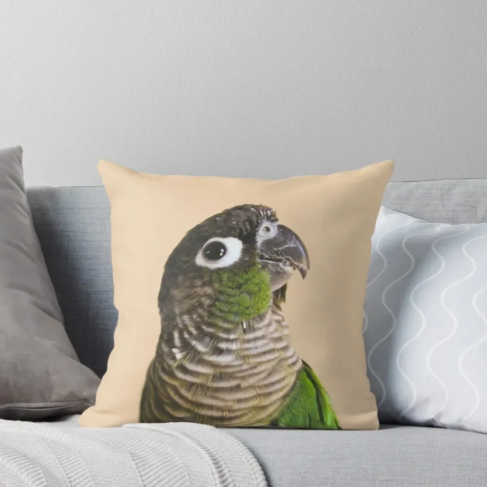 Green Cheek Conure Throw Pillow Pillow Decor Sofa Covers For Living Room Pillow