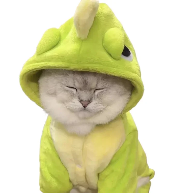 

Autumn and winter anti-hair loss velvet and warm four feet, cute gold gradient ragdoll cat British short blue cat winterclothing
