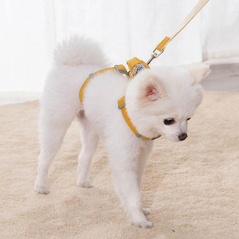 

Cute And Fashionable Pet Dog And Cat Traction Ropes Adjustable With Backpack And Leash Outdoor Adventures And Carrying Treats