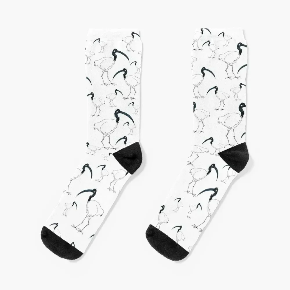 bin chickens (white) Socks halloween Novelties Women Socks Men's