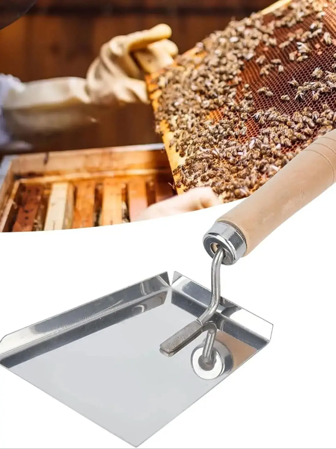 Pelle à Pollen en acier inoxydable pour apiculture, extracteur de miel propre, ruche plate, grattoir propre, équipement pour apiculteur, outil professionnel, 1 pièce