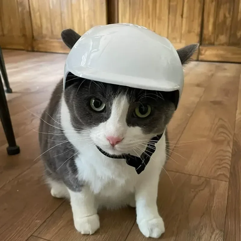 Certified Adjustable Pet Helmet with UV Sunglasses for Dogs & Cats - Travel/Bicycle Safety Gear Lightweight Outdoor Protect
