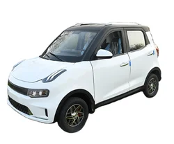 Low-Speed Electric New Energy Vehicle Made in China For Sale 4 Wheels 5 Doors