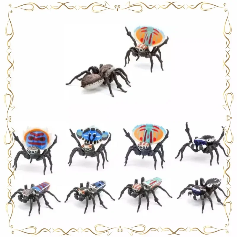 

Maratus Volans Gashapon Keepsake Collection Desktop Ornament Action Figure Model Toys
