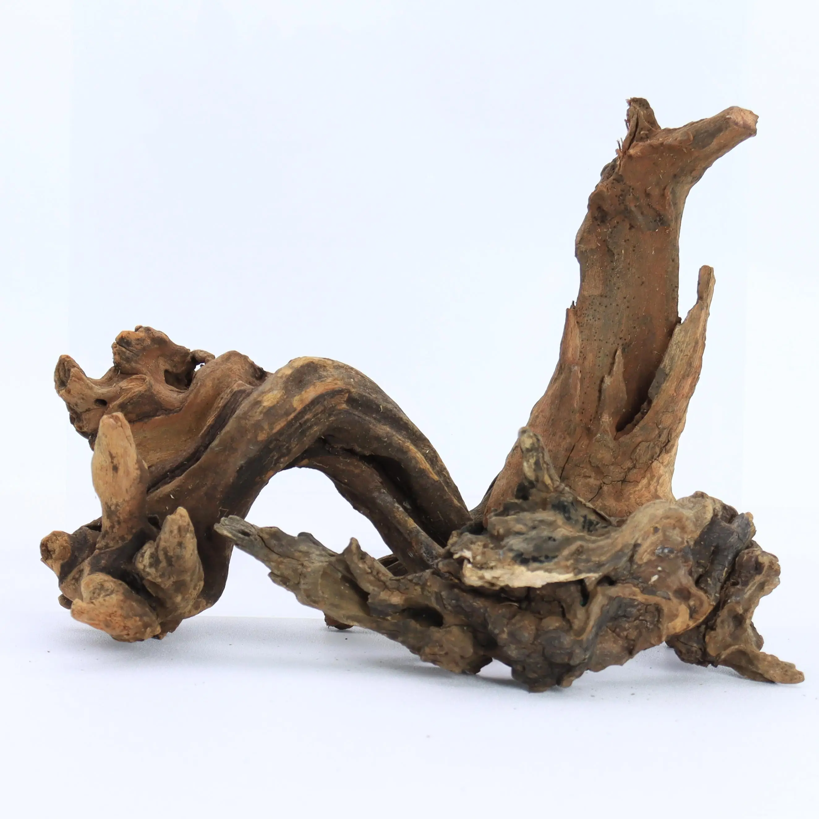 1Pc Small Natural D…