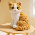 orange white cat sy
