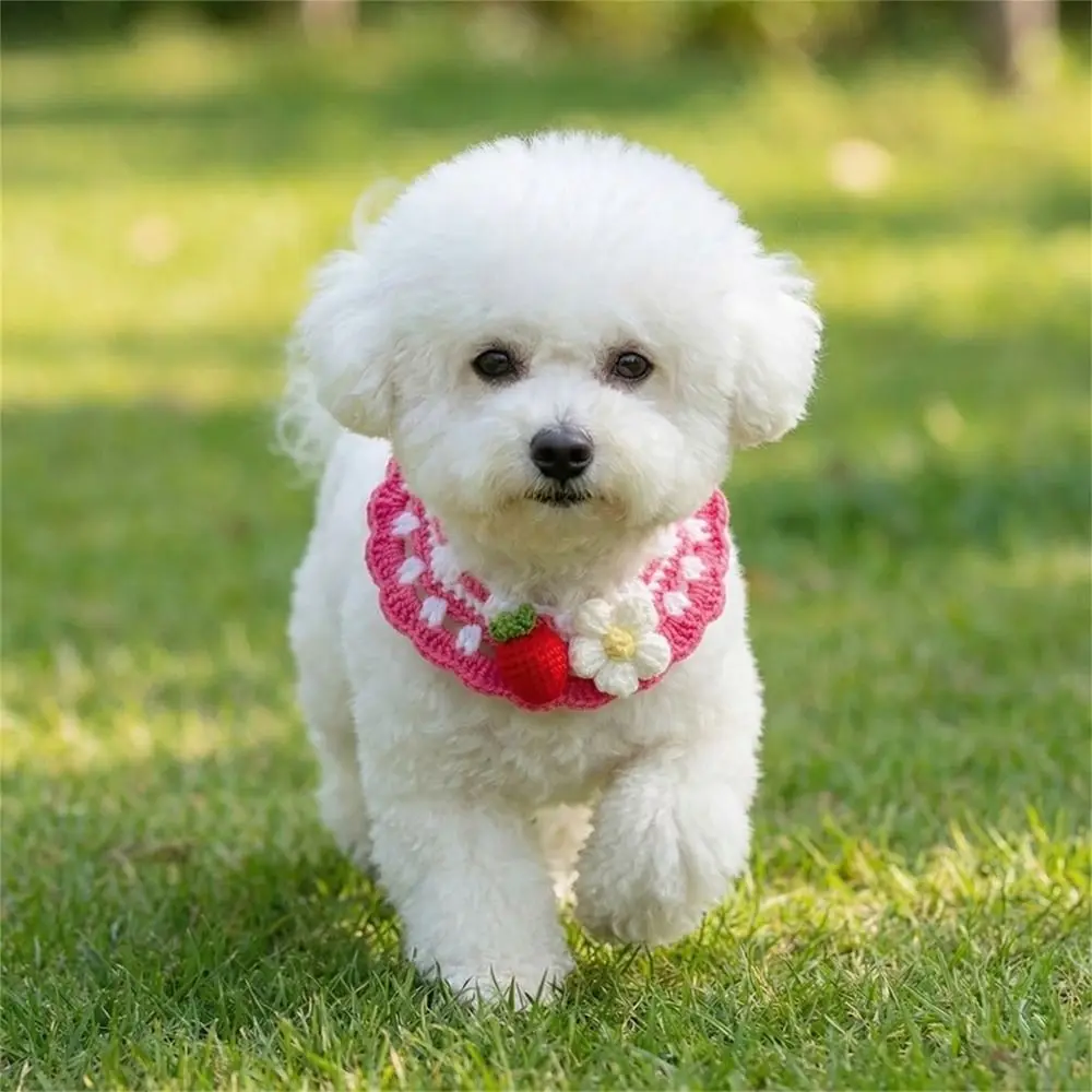 Stylish Adjustable Flower Pet Scarf Bib Handmade Sweet Cat Strawberry Collar Cozy Decorative Cat Woven Bib Photo Shoots