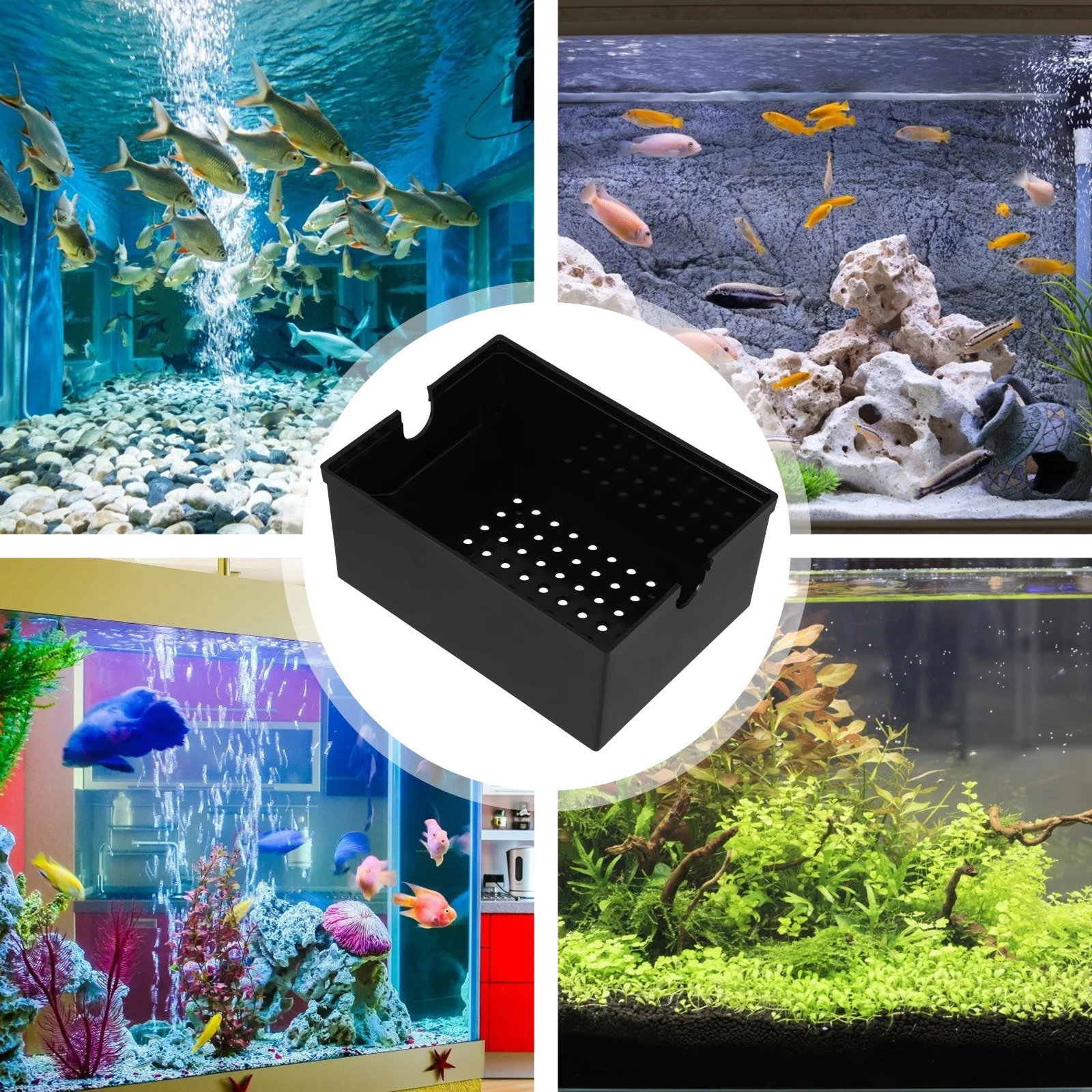 

Aquarium External Trickle Filter Upper Box Black Fish Tank Water Acrylic Drip Oxygenation Overflow Baffle Stackable Gutter Rack