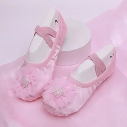 Girls Dance Shoes Practice Children's Ballet Dance Shoes Stage Performance Shoes