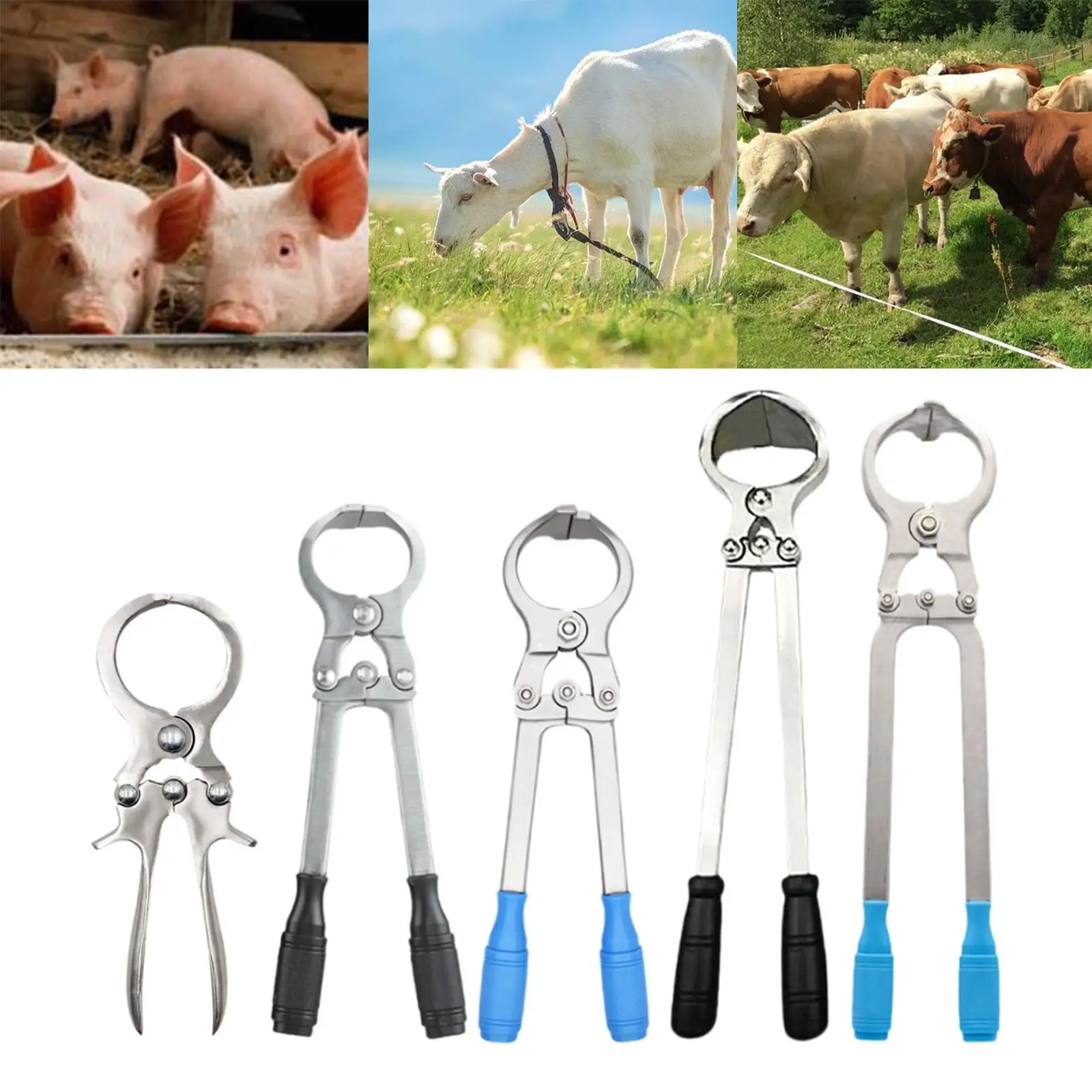 

Livestock Castration Pliers Household Portable Comfortable Grip Banding Tool