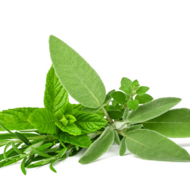 

XTS-F10 Metal Front Rear Drive Shaft CVD Central Driveshaft 1/10 RC Car Upgrade Parts Accessories