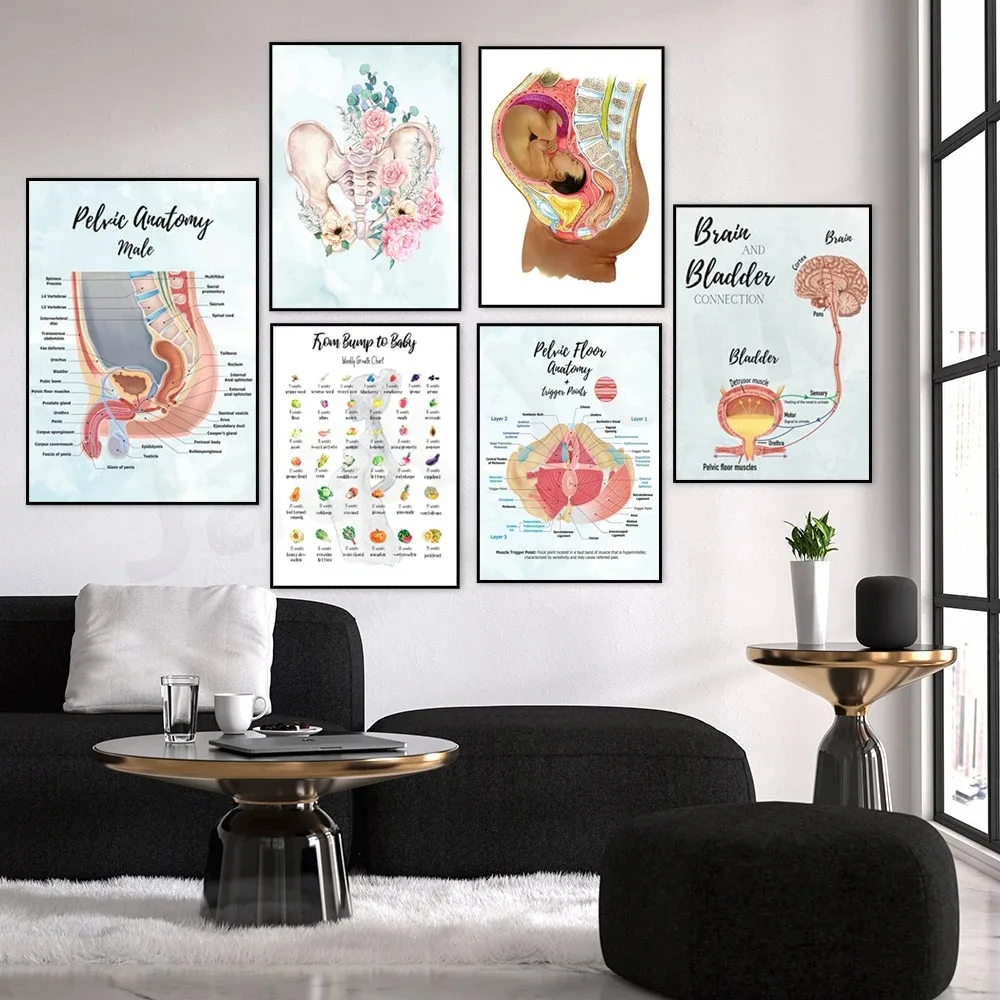 Decoration of Pregnancy Art Medical Office | Cultural Diversity | Pelvic Floor Baby | Physical Therapist Midwife Canvas Painting