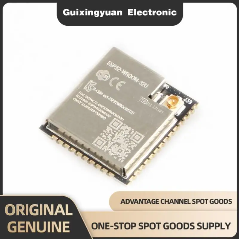 ESP32 Module Extern…