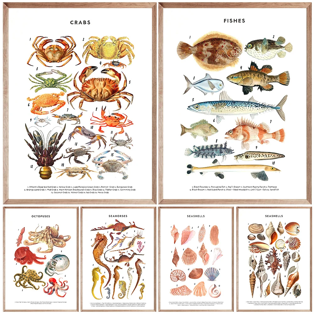 

Ocean Animals Educational Illustration Art Poster And Print,Beach Nursery Decoration,Crabs,Octopuses,Seahorses,Wall Art Print