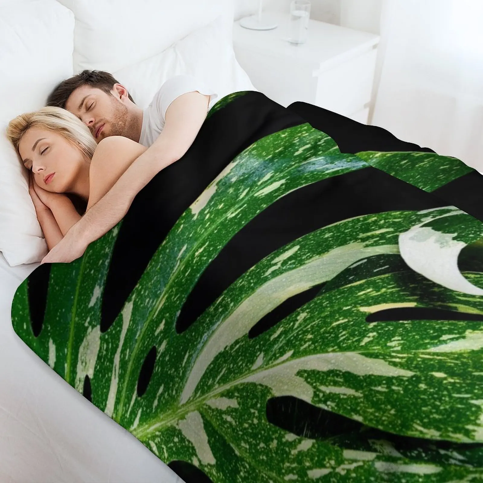 モンステラ タイ コンステレーション スローブランケット 軽 - Monstera Thai Constellation のレビューと価格