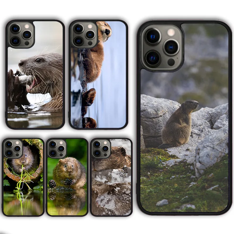 Animal Beaver Phone Case Cover for iPhone 16 15 SE2020 13 14 11 12 Mini Pro Max 6 7 8 Plus  coque fundas Shell