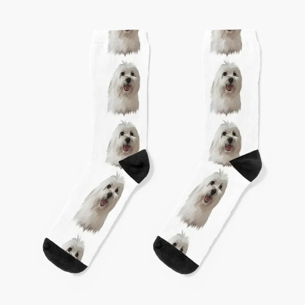 

Cute Maltese Socks snow aesthetic Run Socks Ladies Men's