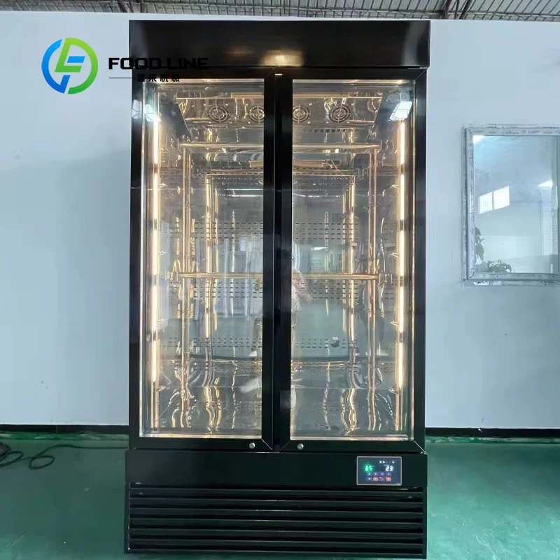 Customize Restaurant Dry Aged Multi-layer Stainless Steel Thawing Cabinet Maturing Fridge Beef Cooler Meat Cheese Kitchen