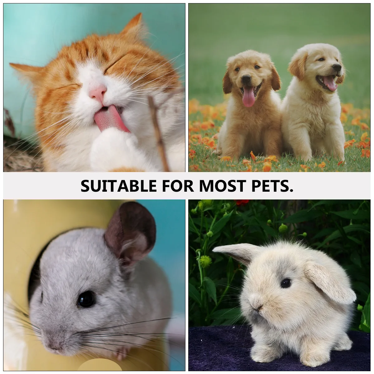 

Pet Costume Hat Cloak Set Comfortable Breathable Design Cat Dog Halloween Party Cosplay Clothes Pet Costume