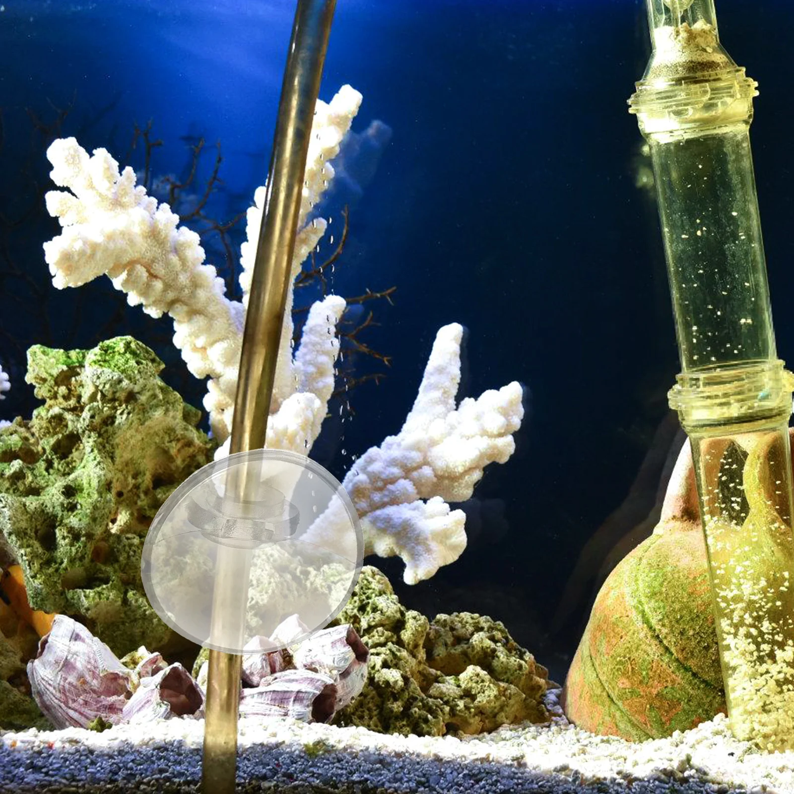 

20Pcs Fish Tank Oxygen Tube Clips Suction Cup Holder Stable Aquarium Hose Clamp Practical Air Tubing Fixing Clips