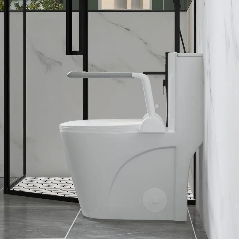 Upgraded Design Armrest One-Piece Toilet, 1.1/1.6 GPF Dual Flush, Siphonic S-Trap 12