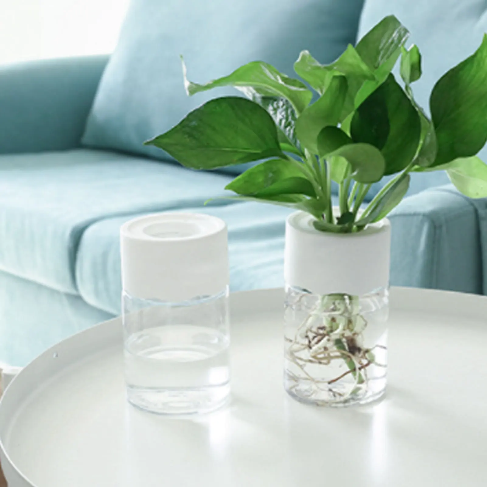 Pot de fleur hydroponique paresseux, pot de fleur transparent, vase de plantes brittop en plastique, décor de bonsaï pour la maison et le bureau