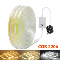 220V Super Bright COB LED Strip Light 288LEDs/m Flexible COB Light Bar Outdoor Waterproof LED Light 3000 4000 6500K + UK Plug