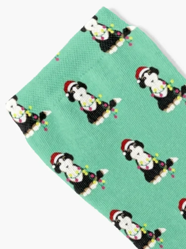 Calcetines navideños Bernedoodle Santa Dog Holiday, regalo de Navidad, calcetines divertidos de algodón para mujeres y hombres