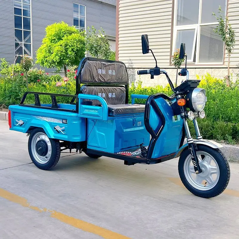 Three-wheeled Electric Car House Hold  Old People Pick up Children Mountain Pull Goods Small Scooter.