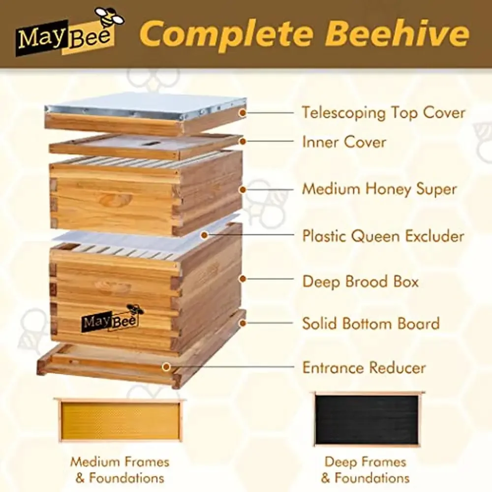 8 Frame Beehive Starter Kit Bee Hives Supplies Cedarwood Dovetail Joints Ventilation Large Space Includes Bottom Board Entrance