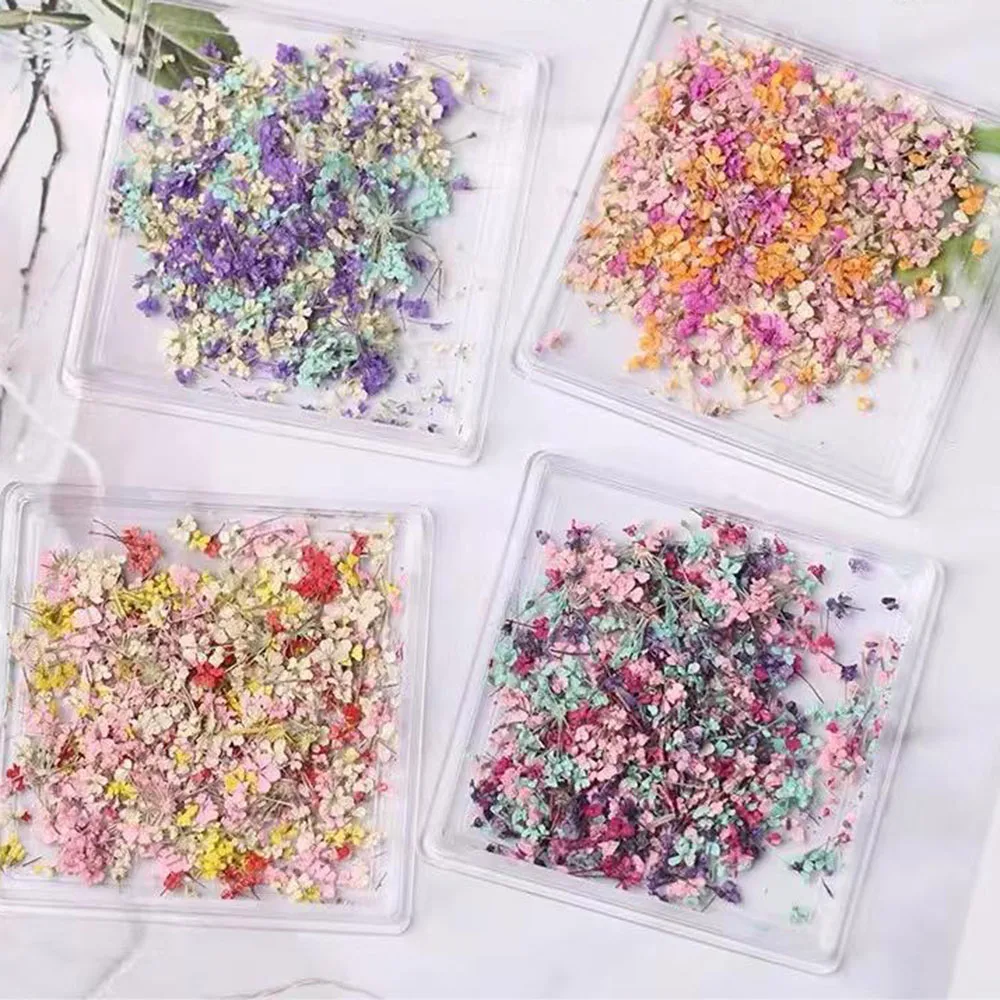 Mixed Color Dried Flowers for Nails Design Stickers Colorful Dried Flower Decoration Decal Floral Manicure Accessories Parts