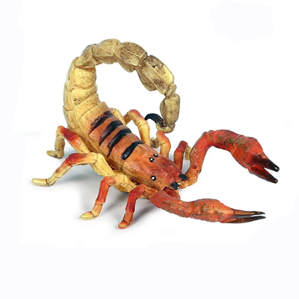 Escenas de juguete educativo realistas para niños, modelo de escorpión cognitivo, suministros de Halloween, estatuilla de insectos
