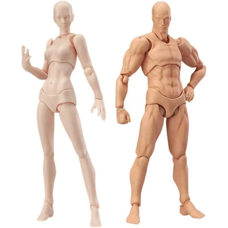 Body Doll, Artists Manikin Blockhead Jointed Mannequin Drawing Figures Male+Female Set (Skin Color)