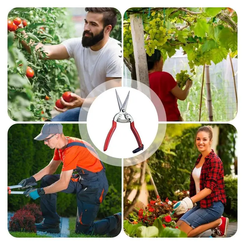 Tijeras de jardinería, podadora de flores, tijeras de jardín, tijeras de setos especiales para césped, ramas de poda fuertes para herramientas de