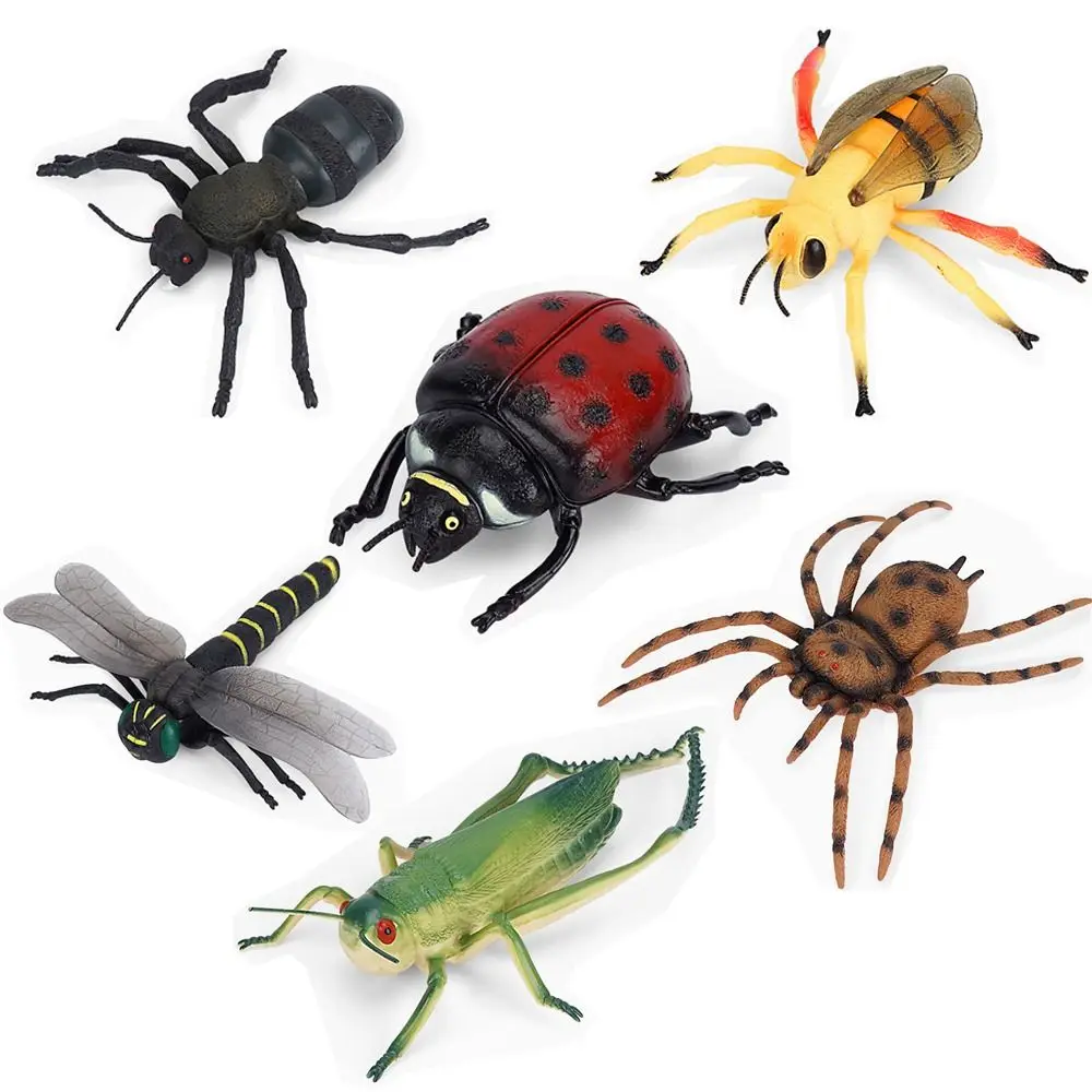 New Ant Cricket Spider Scorpion Ladybug Simulation Wild Insect Home Decorations Big Size Animal Model Halloween Toy for Garden