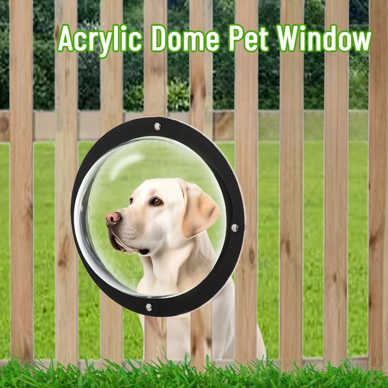 1/2 adet Şeffaf Pet Kabarcık P - Plastic Dome Clear incelemesi ve fiyatı