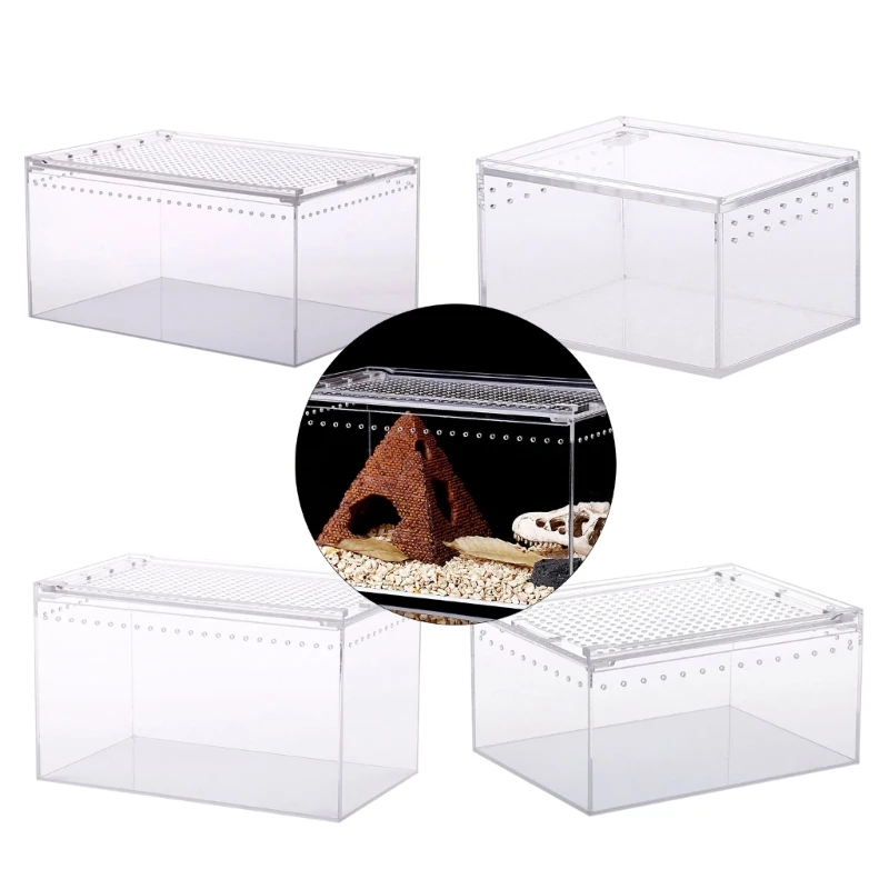 Terrarium Large Feeding Habitat Box for Small Animals Insect Home Office