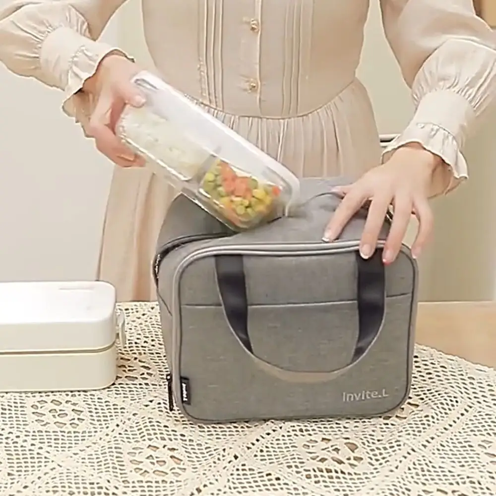 

Foldable Insulated Bag Large Capacity Double Layer Insulated Lunch Bag Commuting Leak-Proof Cooler Lunch Handbag Camping
