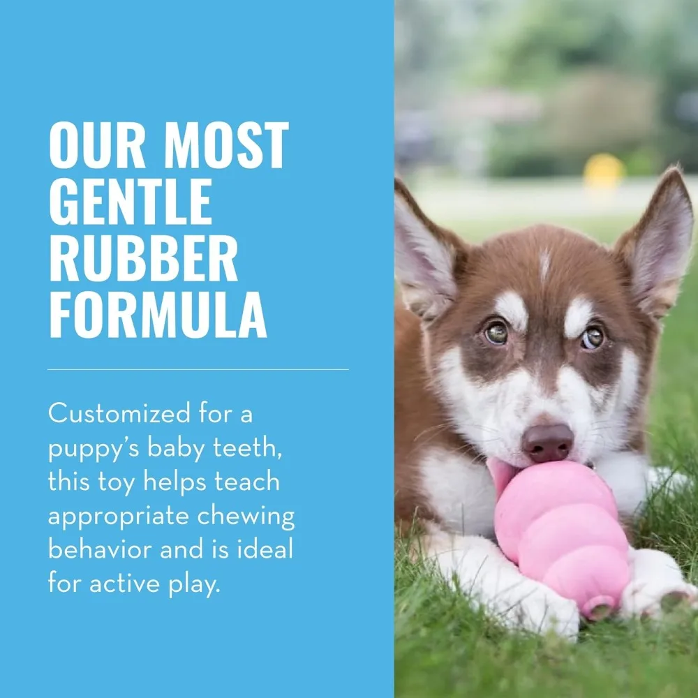 Natural Teething Rubber Chew Toy for Dogs - Stuffable Dog Toy for Extended Playtime - Chew & Fetch