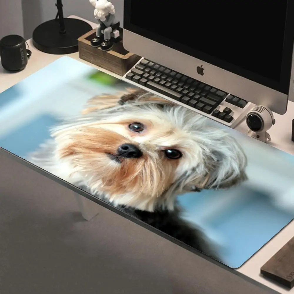 Cute Yorkshire Terrier Dog Mousepad Large Gaming Mouse Pad LockEdge Thickened Computer Keyboard Table Desk Mat