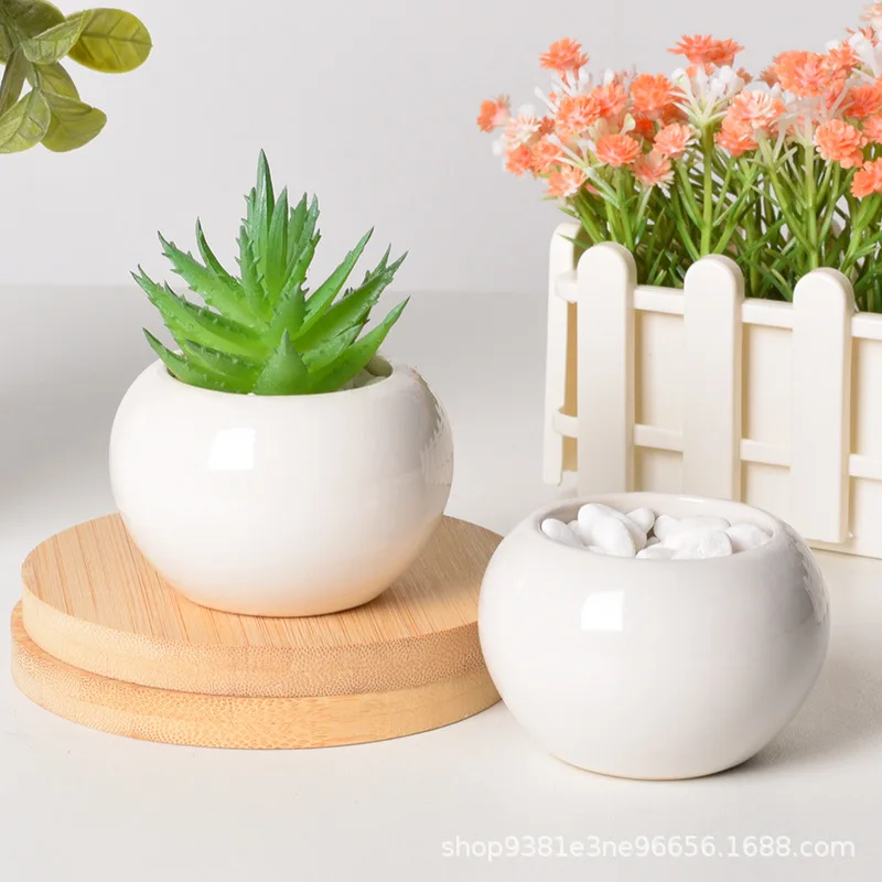 Simple Succulent Flower Pot Plant Potted Mini Round Ceramic Pot Home Decoration Green Plant Small