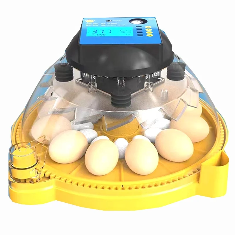 

Mini 12/24/36/48 Eggs Incubator Fully Automatic Small butterfly 12V/220V for Chicken/duck/goose/quail