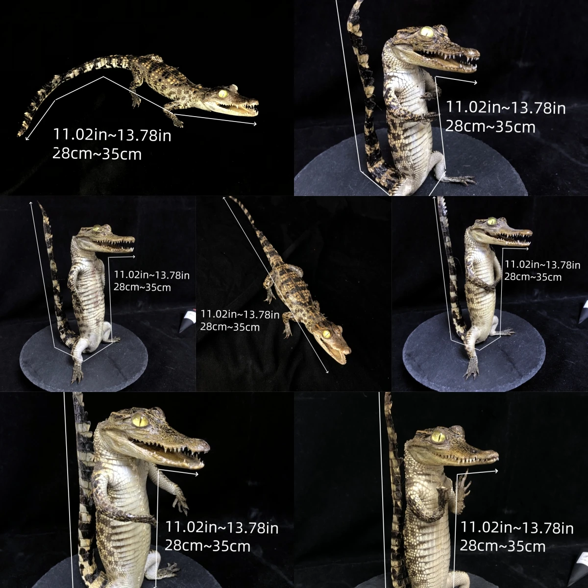 

2266 Wholesale 1/5/10Pcs Gothic Dark Horror Style Alligator Crocodile Figurine Plastic Decoration for Halloween Christmas Party