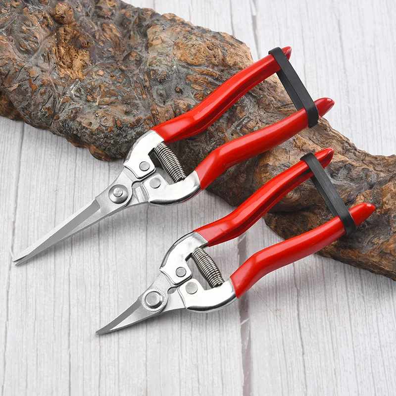 Stainless Steel Pruning Scissors Gardening Scissors Household Fruit Picking Grape Scissors Garden Branch Pruning Tools