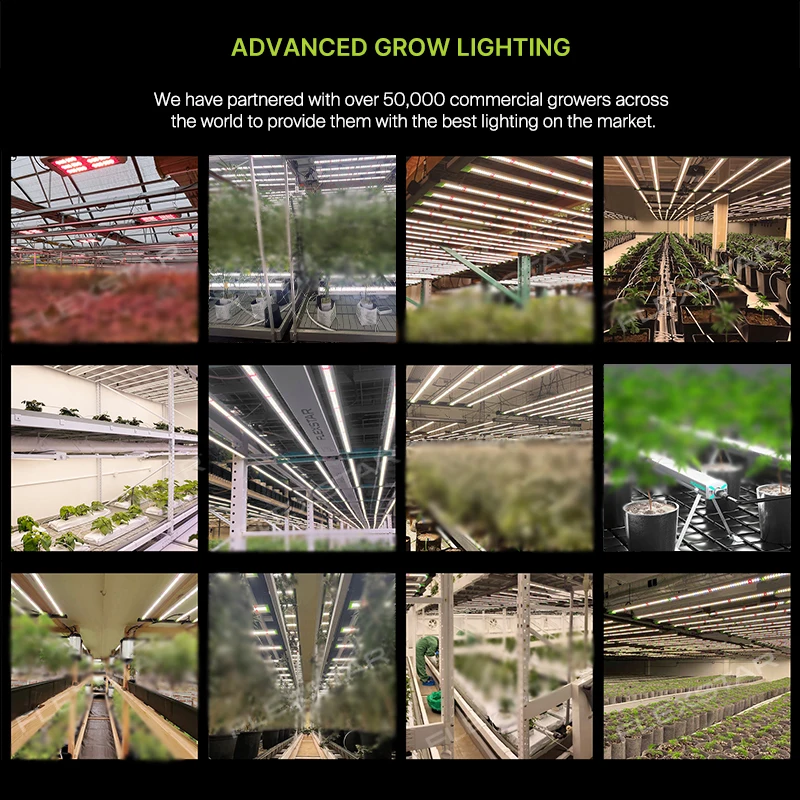 SE 720W 4X4Ft Coverage 2.7Umol/J Daisy-Chain Ip66 Rated Dimmable Full Spectrum Led Grow Light with 5-Year Warranty